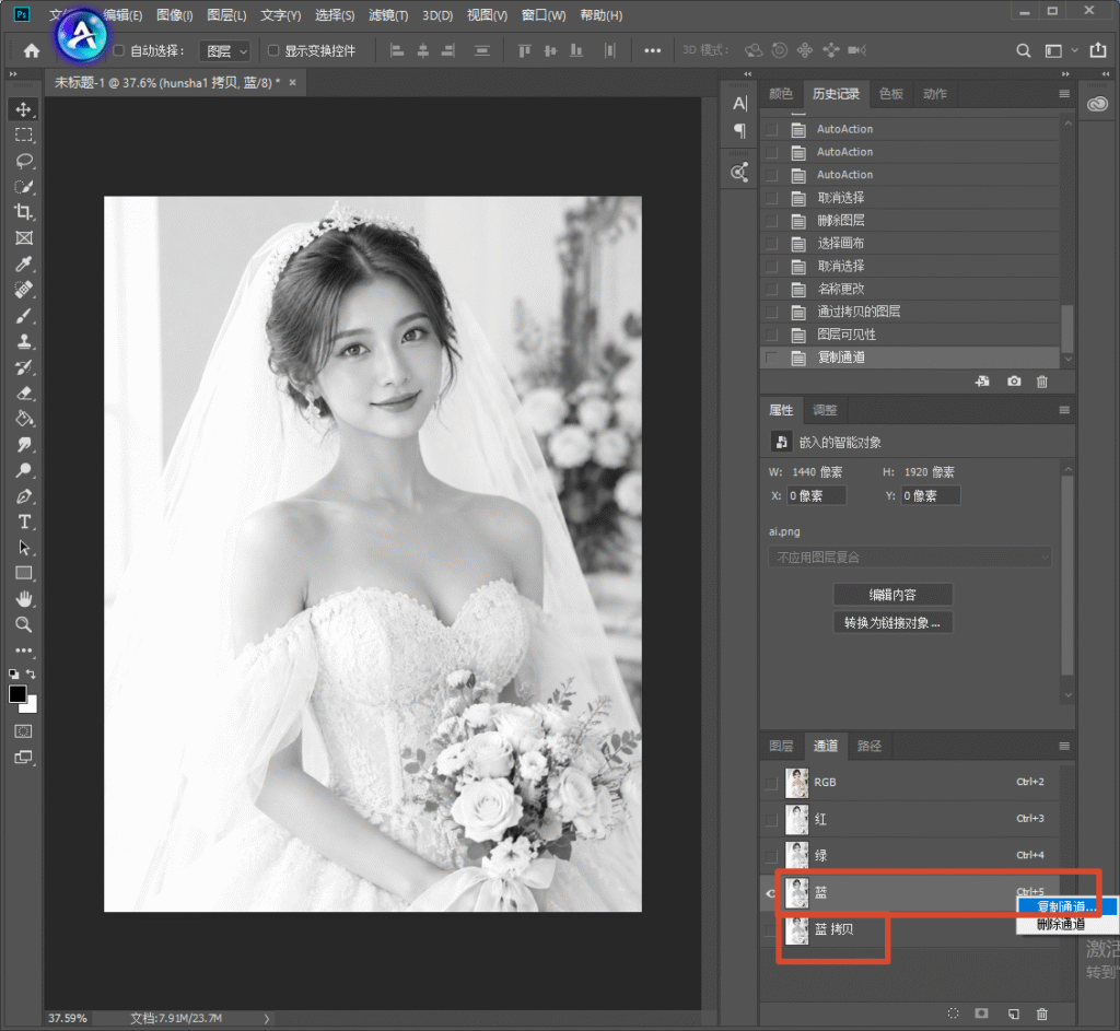 Photoshop 软件操作界面,婚纱人像黑白图,右侧通道面板红框标注复制蓝色通道,演示通道抠婚纱第一步,复制蓝通道来提取薄纱选区。