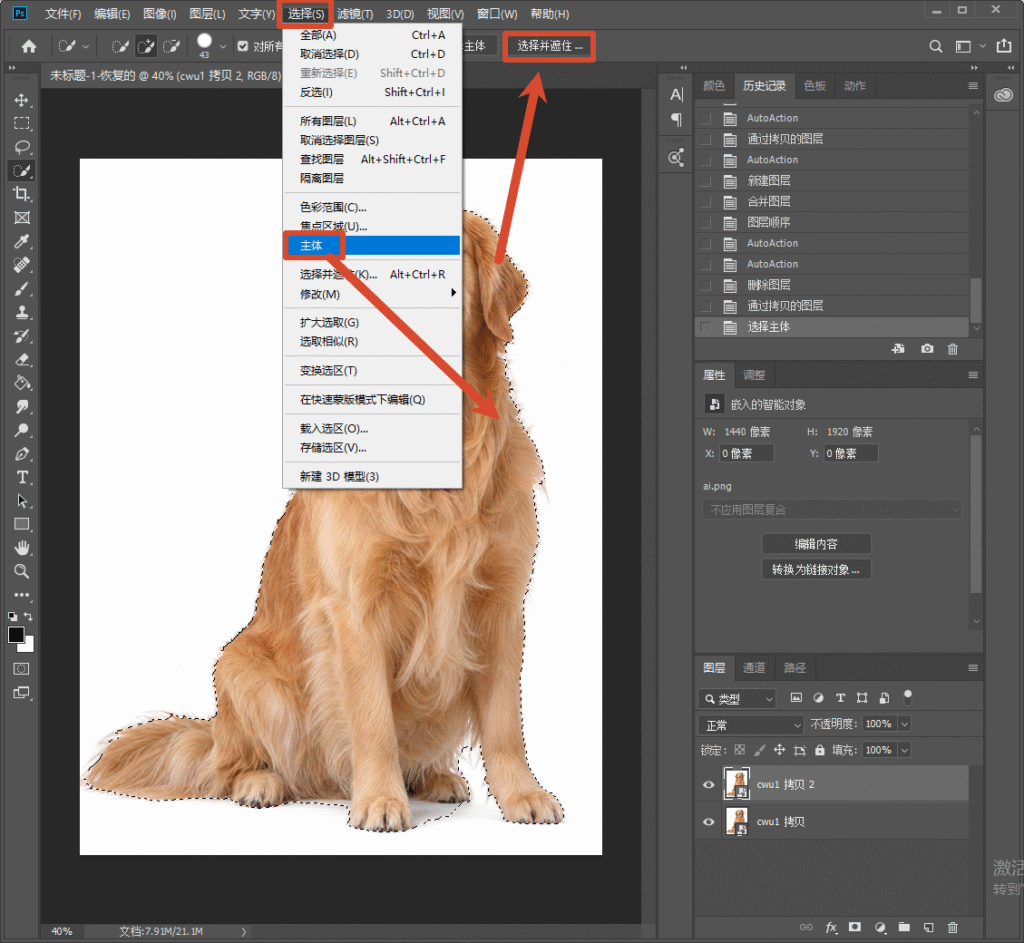 Photoshop 软件界面，顶部选择菜单，点击主体，再打开选择并遮住，给金毛狗狗建立主体选区，演示 PS 自带主体选择抠图步骤。