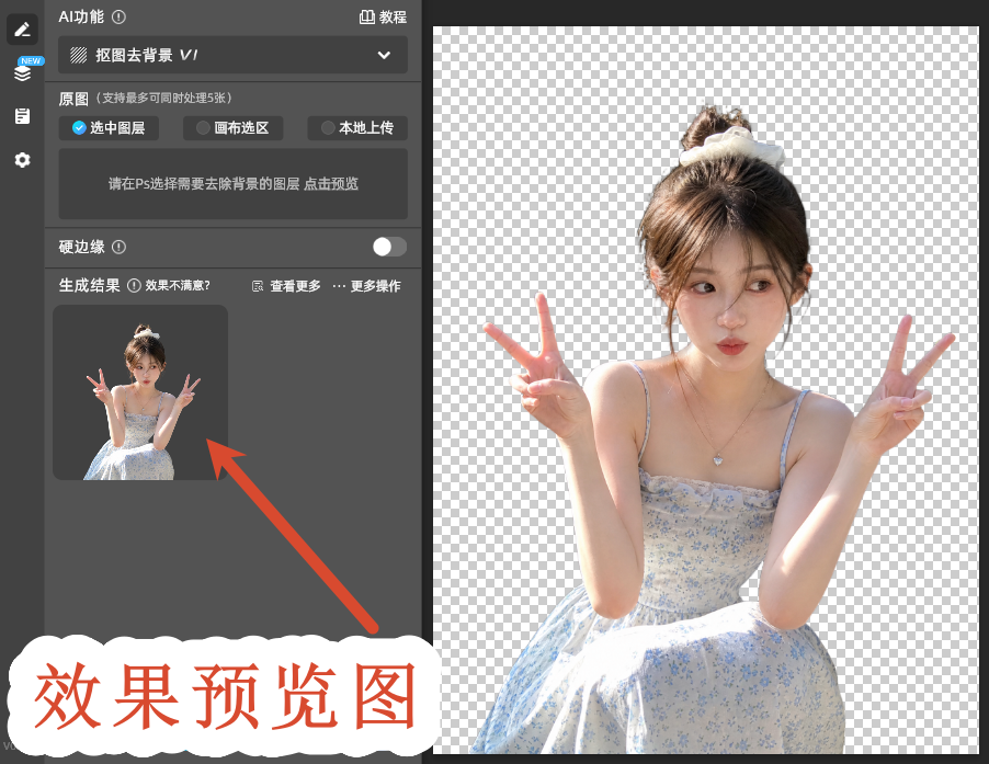 效果预览图