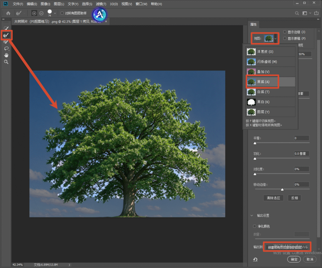 Photoshop 选择并遮住工作区界面,使用调整边缘画笔,预览模式切换黑底,输出到带图层蒙版的新图层,精细处理树叶发丝边缘。