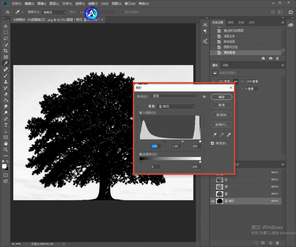Photoshop 通道抠图界面,打开色阶窗口,拖动滑块调整蓝拷贝通道明暗,拉大树木和背景的对比度。