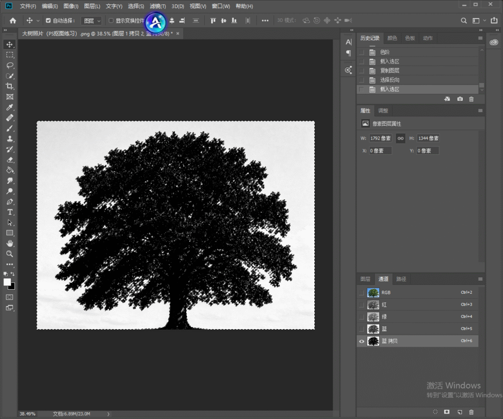 Photoshop 通道抠图步骤截图,调整完色阶后载入选区,树木变为黑色选区,完成通道抠图的选区制作。