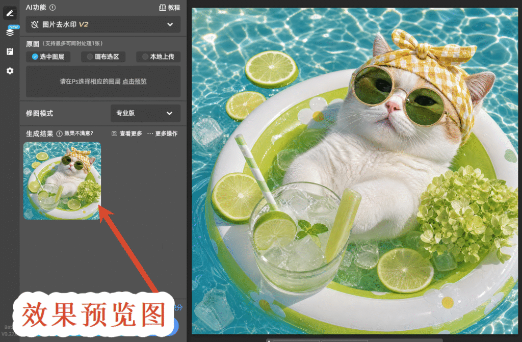 效果预览图